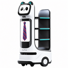 Marketingowy robot dostawczy Alpha Panda Ultra