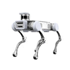 Przemysłowy robot czworonożny Deep Robotics X20