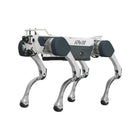Przemysłowy robot czworonożny Deep Robotics X30