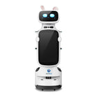 Robot dostawczy i reklamowy do wąskich przejść Keenon DINERBOT T11