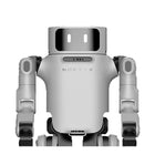 Uniwersalny robot humanoidalny Noetix Dora