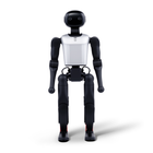 Robot humanoidalny FF Master Mini
