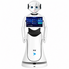Humanoidalny robot recepcyjny Alpha Alice