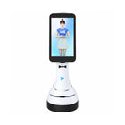 Mobilny cyfrowy robot usługowy Alpha Fairy