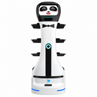 Robot dostawczy Alpha Panda