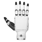 Zręczna dłoń robotyczna Inspire RH56BFX