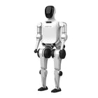 Robot humanoidalny Noetix Bumi Standard