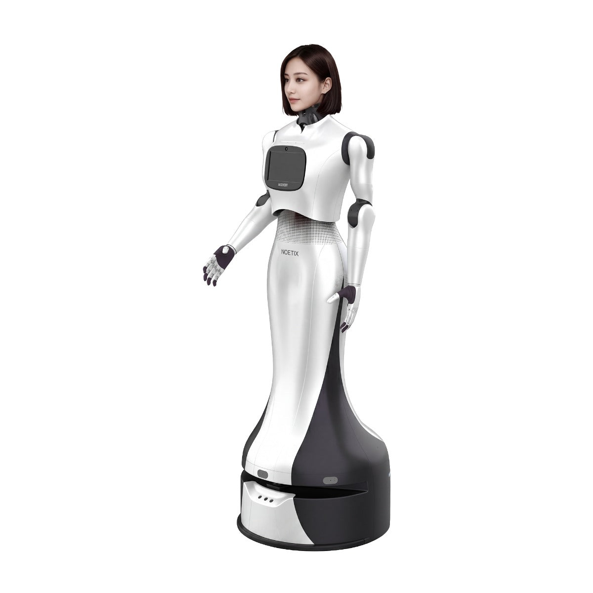 Ultrabioniczna głowa humanoidalna Noetix HOBBS W1